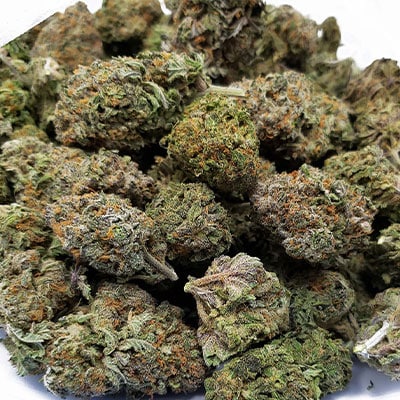 Medical Marijuana